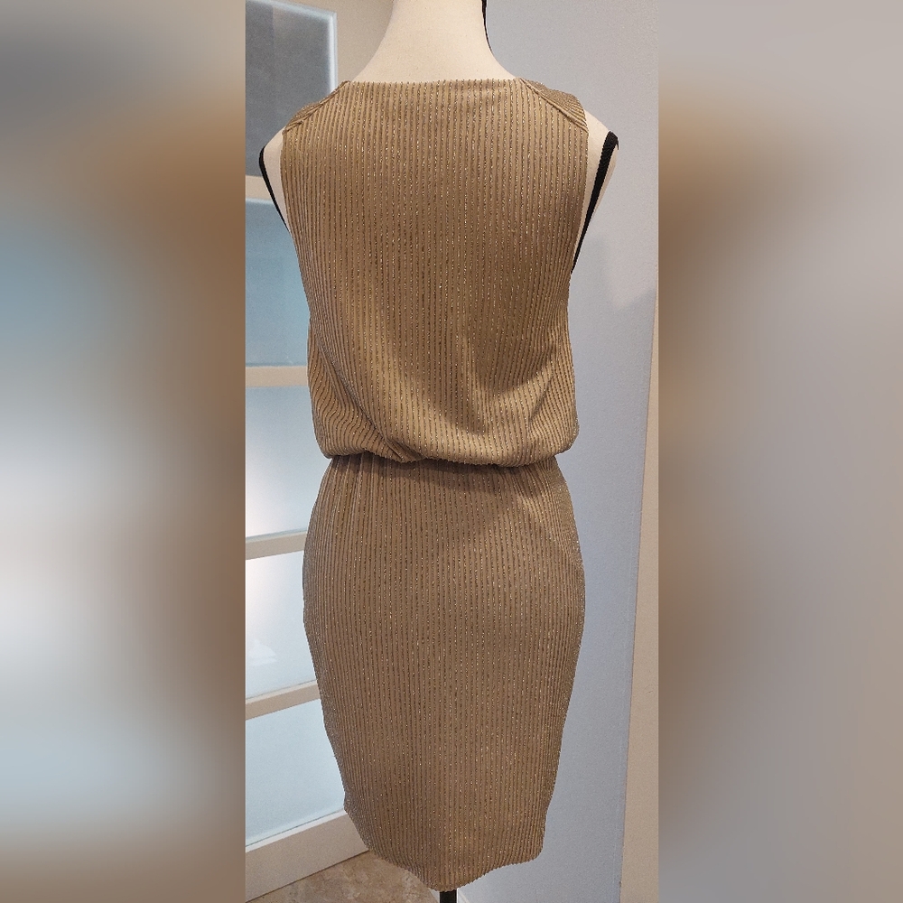 Silver Asymmetrical Plunge Neck Mini Dress - Picture 5 of 7